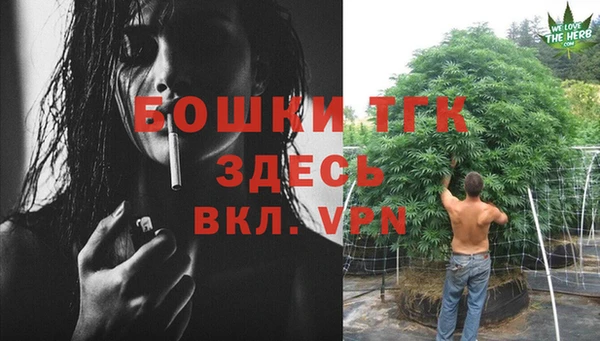 эйфоретик Богородск