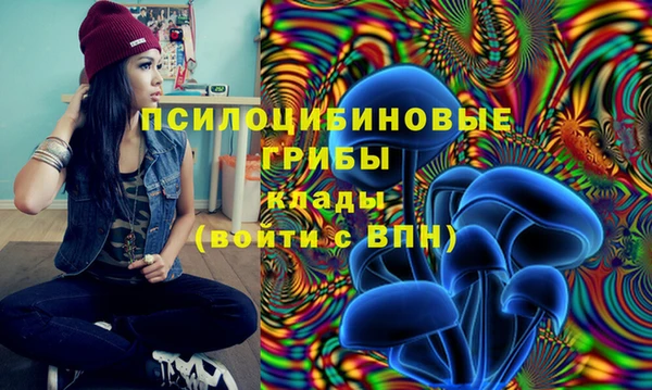 mdpv Богородицк